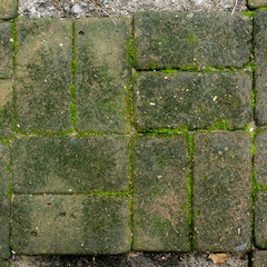 Ground stone overgrown with moss