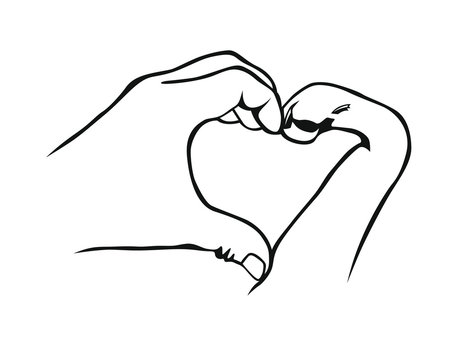 Freundschaft - Pfote und Hand - Herz