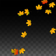 September Vector Background with Golden Falling Leaves. Autumn Illustration with Maple Red, Orange, Yellow Foliage. Isolated Leaf on Transparent Background. Bright Swirl. Suitable for Posters.