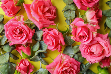 Fototapeta na wymiar Beautiful blooming roses and leaves on color background
