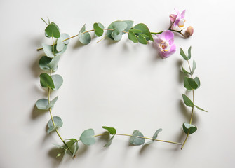 Frame made of eucalyptus branches and flowers on white background