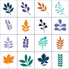set of colorful leaves