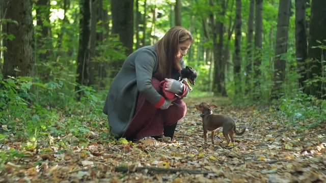 woman in a forest squatting takes a small dog in her arms