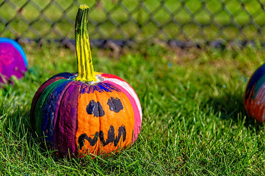 painted pumpkins outside. school craft. preparation for Halloween. blurred background. Copy space for your text