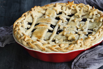 Blueberry Pie in Red Dish