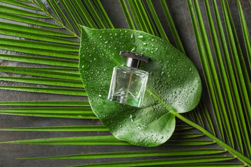 Bottle of perfume with tropical green leaves on dark table
