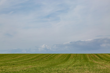 Fototapeta na wymiar Blue sky above a green field