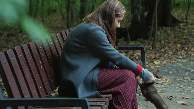 woman sitting on a bench in the woods stroking two small dogs