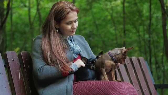 woman sits on a bench in the woods and ironing two small dogs on her knees.