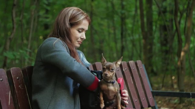 a woman is sitting on a bench in the woods and ironing two small dogs on her knees.