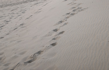 Spuren im Sand  Strand ostsee mittelmeer nordsee 