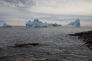 Greenland | Qeqertarsueaq