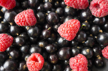 Ripe blackcurrants and raspberries. Mix berries. Top view. Background of red and black berries. 