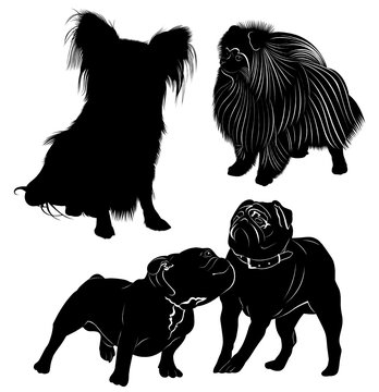 set of dog silhouettes  isolated on white background
