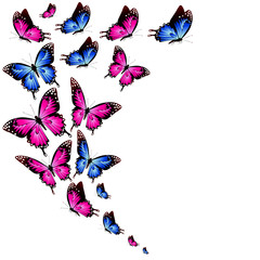 Naklejka na ściany i meble beautiful color butterflies,set, isolated on a white