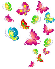 beautiful color butterflies,set, isolated  on a white