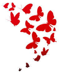 red  butterflies, valentine card - 223553170