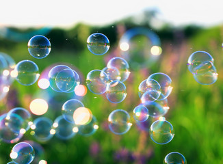 natural beautiful background with bright bubbling soap bubbles flying over blooming green grass and purple sunny summer meadow