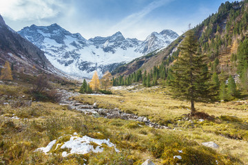 Herbst im Zillertal in Tirol mit Gletscher im Hintergrund