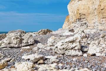 View of the white chalk cliff of Seaford Head, East Sussex, England, part of Seven Sisters National park, low tide, selective focus