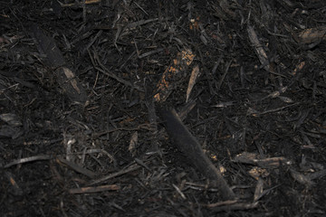 Captivating Macro Shot: Unique Texture of Black wood HD