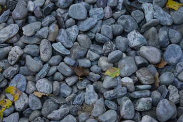 Arrière-plan de pierres grises et feuilles d'automne sur une texture naturelle de galets pour usage créatif