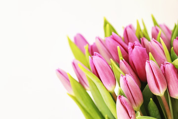 Bouquet of beautiful pink tulips