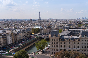 View to Paris and Eiffel Tower from Notre Dame de Paris - 223556955