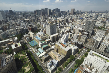 Fototapeta premium 東京（聖路加タワーから）