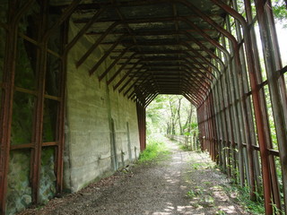Fototapeta na wymiar 廃線跡の遊歩道, Abandoned railroad track