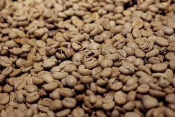 Fresh coffee