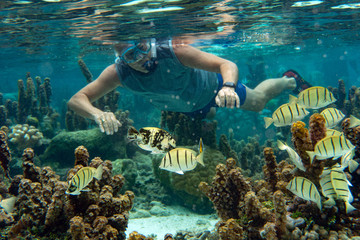 snorkeling in french polynesia down under world