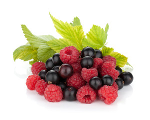 Black currant and raspberry