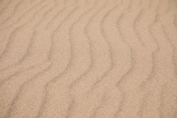 Fototapeta na wymiar Ripples left by the sea on a sand beach