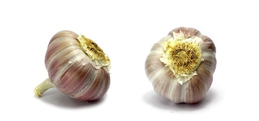 frischer knoblauch in verschiedener position isoliert auf weißen hintergrund