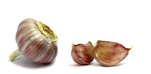 bio knoblauch isoliert auf weißem hintergrund