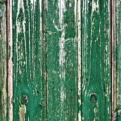 grüne verwitterte alte holzwand textur