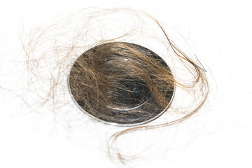 Hair loss on washbasin. Long wet brown hair on white basin in the bathroom.
