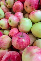 Harvest of apples from the garden as a background