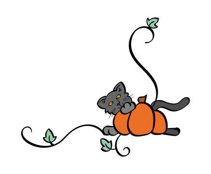 Black Cat Hiding behind a pumpkin - corner border