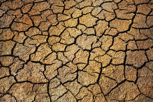Background of a very dried ground in Summer