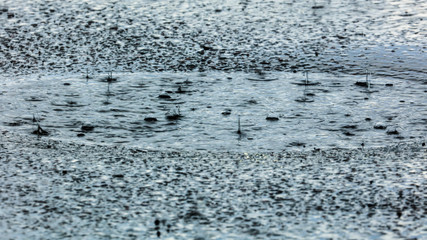 Rain on the asphalt road as background