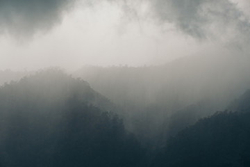 Fototapeta premium Landscape image of greenery rainforest hills on rainy day with cloudy sky background