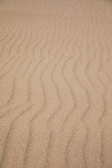 Ripples left by the sea on a sand beach. Background with shallow depth of field.