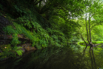Calm waters at the end of summer