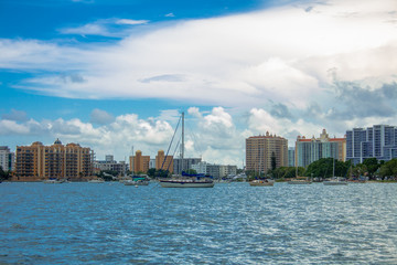 Downtown Sarasota from afar