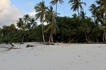 Beach of Filitheyo island - 223566356