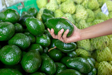 Pick the perfect an avocado by hand in local market.