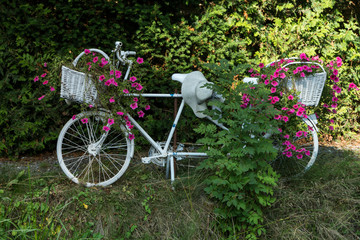 Fototapeta premium Fahrrad mit Blumenschmuck