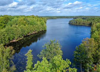 Swedish lake in the middle of forest